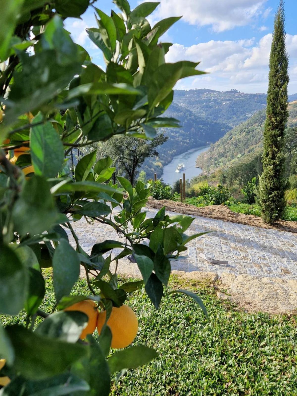 Javardo - Family House - Douro Penha Longa Экстерьер фото