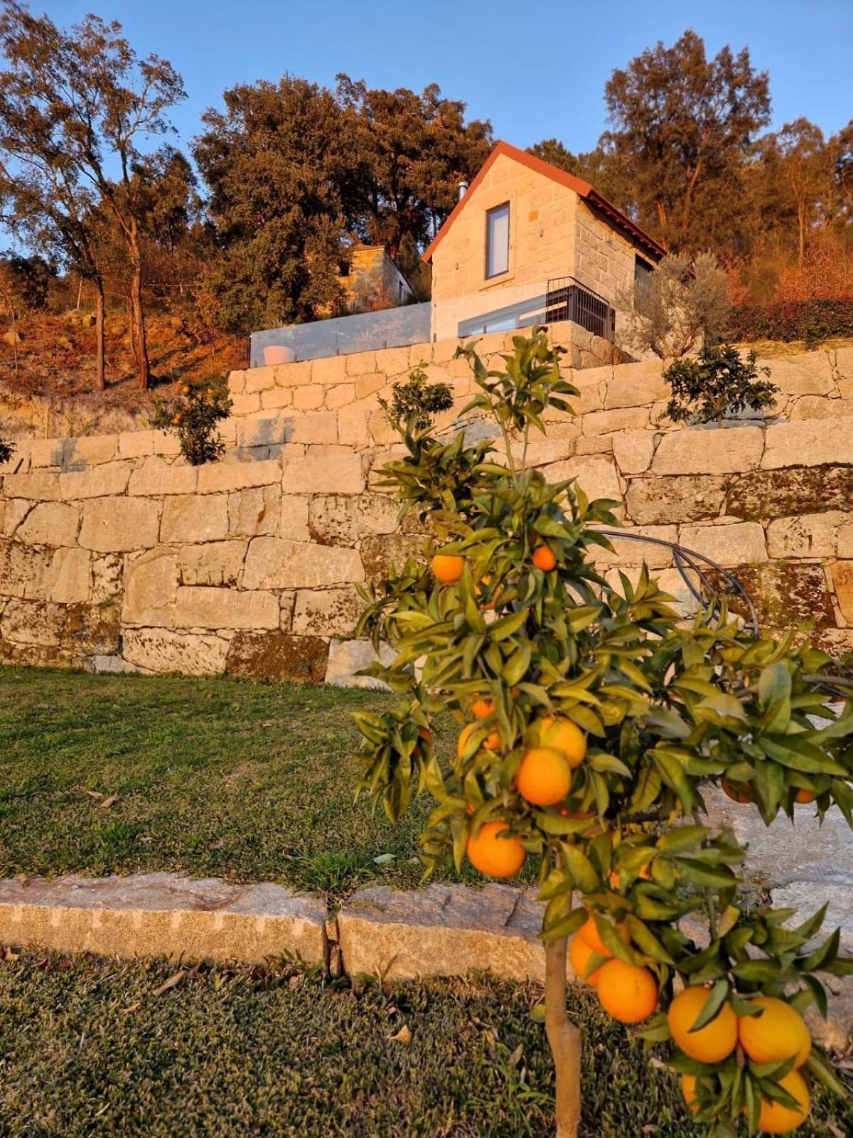 Javardo - Family House - Douro Penha Longa Экстерьер фото